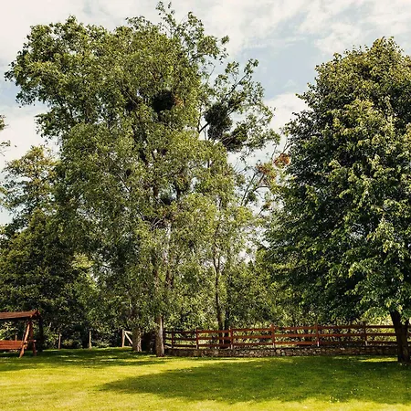 Kakukk Vendeglo Panzio