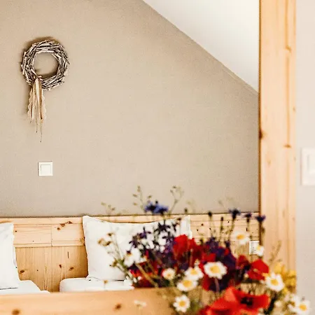 Oda ve Kahvaltı Kakukk Vendeglo Panzio