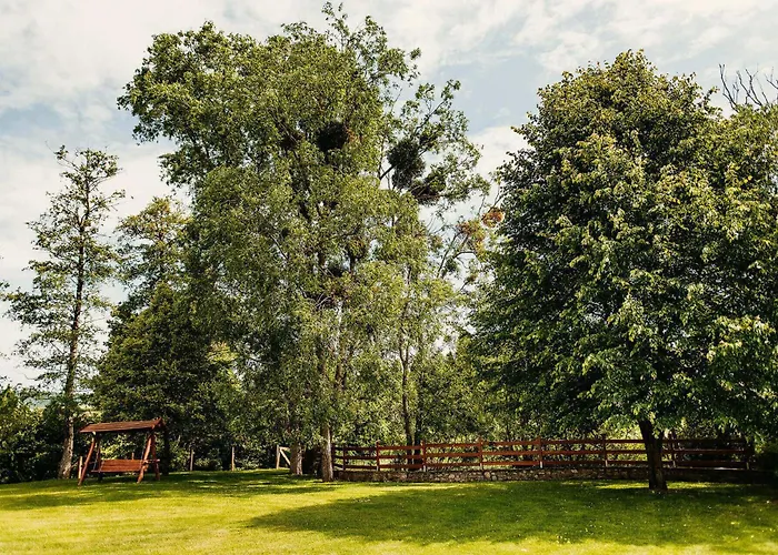 Kakukk Vendeglo Panzio