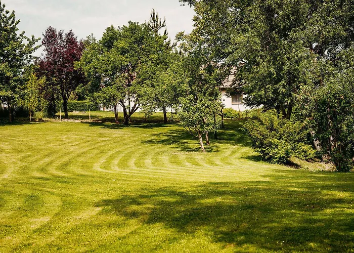 Bed & Breakfast Kakukk Vendeglo Panzio Bánd