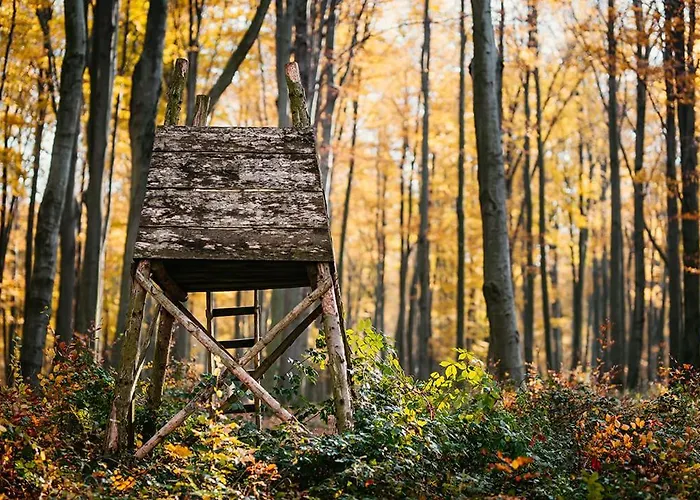 Bed & Breakfast Kakukk Vendeglo Panzio 4*